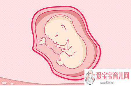 香港验血女孩准,试管婴儿发生单卵双胎的机率比自然怀孕高？